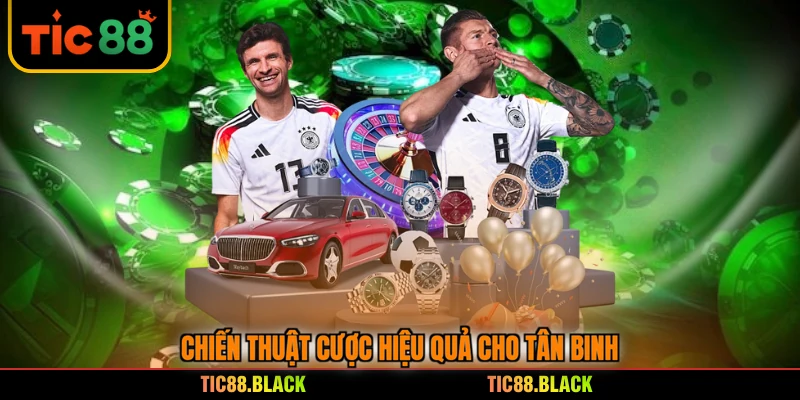 Chiến thuật cược hiệu quả cho tân binh