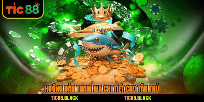 Hướng dẫn tham gia chi tiết cho tân thủ