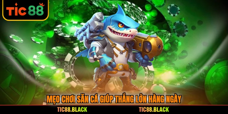 Mẹo chơi săn cá giúp thắng lớn hàng ngày